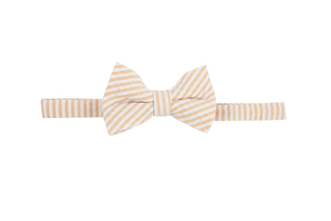 Orville Redenbowtie: Seersucker Bow Tie